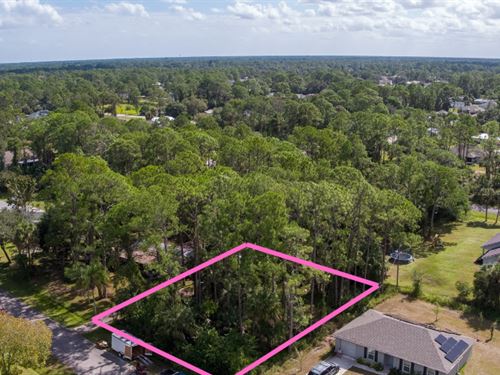 Cash Deal for Great 0.24 Acre : Palm Bay : Brevard County : Florida