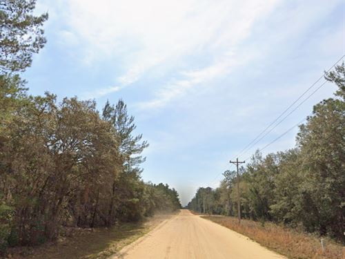 Affordable Florida Living Awaits : Interlachen : Putnam County : Florida