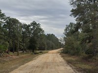 Affordable Land Ownership in FL : Interlachen : Putnam County : Florida