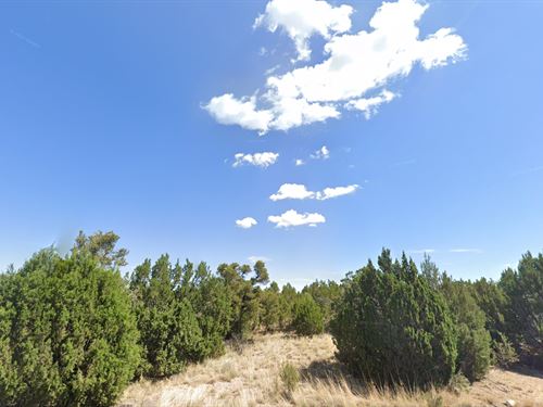 Stargazer's AZ Dream Property : Seligman : Yavapai County : Arizona