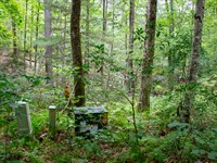 Peaceful 1.895 Ac in Grassy Creek : Grassy Creek : Ashe County : North Carolina