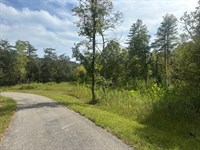 20 +/- Acres with Neglected Cabin : Albany : Clinton County : Kentucky