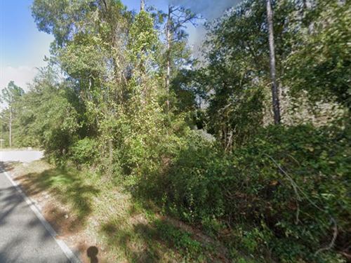 Double Lot for Your Home : Interlachen : Putnam County : Florida