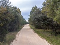 Double Lot for Your Home : Interlachen : Putnam County : Florida