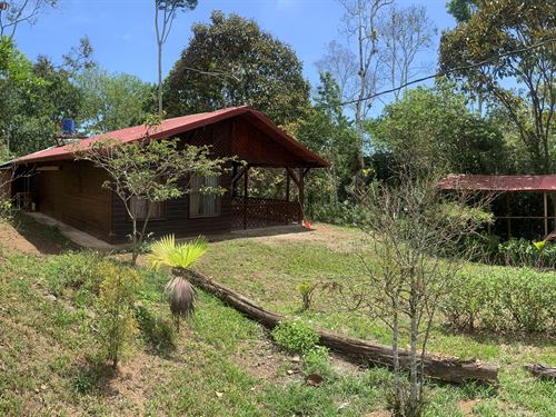 Countryside Cabin in Cartago : Cartago : Costa Rica