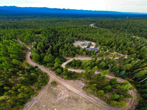 Double Possibilities Home & Lot : Condon : Missoula County : Montana