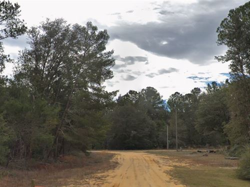 Quiet and Affordable Land in FL : Interlachen : Putnam County : Florida