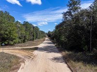 Quiet and Affordable Land in FL : Interlachen : Putnam County : Florida