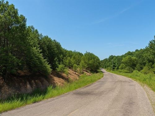 Waterfront Land in Jasper, AL : Jasper : Winston County : Alabama