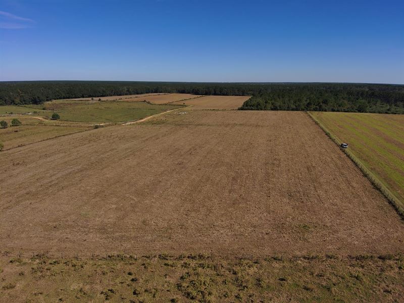 17 Acre Farm Baldwin County : Atmore : Baldwin County : Alabama