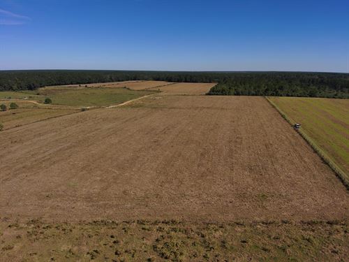 17 Acre Farm Baldwin County : Atmore : Baldwin County : Alabama