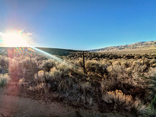 Freedom and Space to Breathe : Elko : Nevada