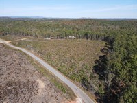 7.5 Ac in Clay County, AL : Lineville : Clay County : Alabama