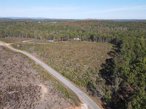 7.5 Ac in Clay County, AL : Lineville : Clay County : Alabama