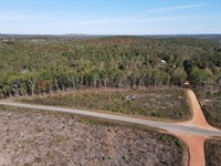 3.5 Ac in Clay County, AL : Lineville : Clay County : Alabama