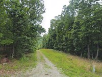 Your Next Adventure Awaits : Williford : Sharp County : Arkansas