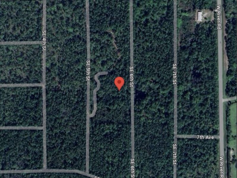123 SE 6th St on Unmaintained Grass : Palatka : Putnam County : Florida