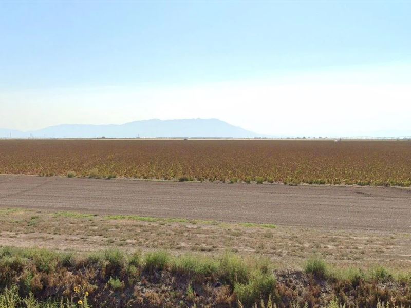 Build Home with Mountain View : Alamosa : Alamosa County : Colorado
