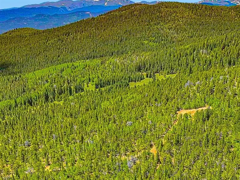 4 Acres Mountain Getaway : Black Hawk : Gilpin County : Colorado