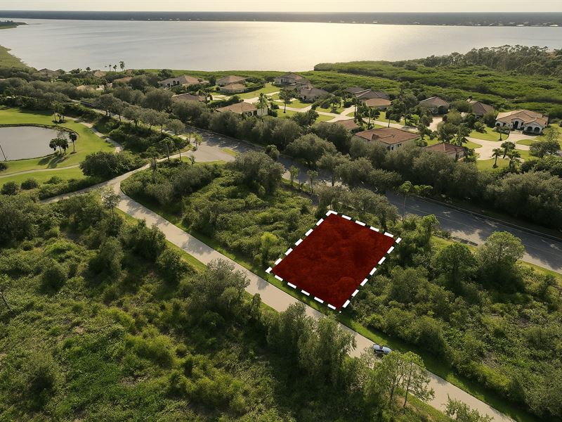 Beautiul Land Near Myakka River : Port Charlotte : Charlotte County : Florida