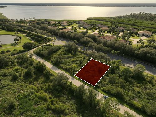 Beautiul Land Near Myakka River : Port Charlotte : Charlotte County : Florida