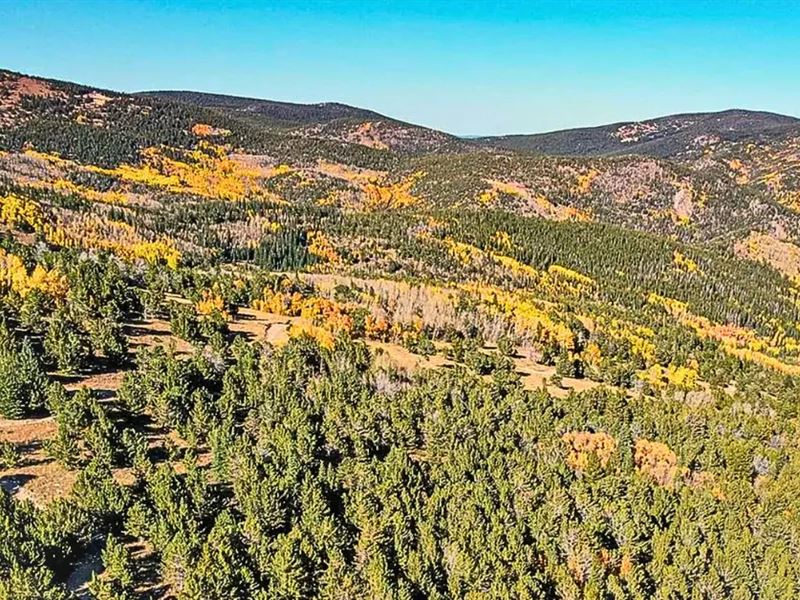 3 Acre Rocky Mountains : Black Hawk : Gilpin County : Colorado