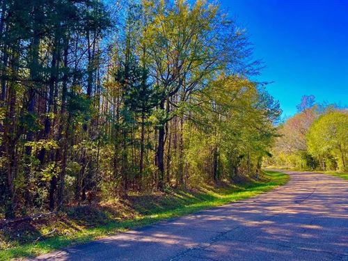 12.27 Acres Near Wesson, Mississipp : Wesson : Copiah County : Mississippi
