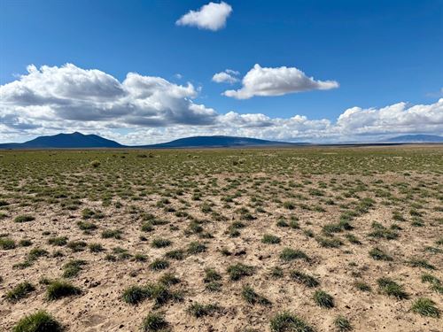 20 Acres in Cerro, New Mexico : Cerro : Taos County : New Mexico