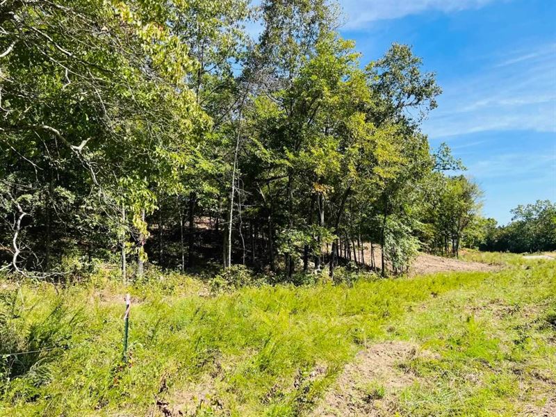 Easy Terms, $55 Down & All Yours : Horseshoe Bend : Izard County : Arkansas