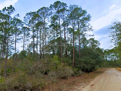 Peaceful Lot Near Interlachen : Interlachen : Putnam County : Florida