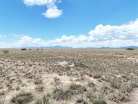 Grow Wealth with AZ Land : Willcox : Cochise County : Arizona