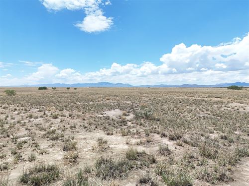 Grow Wealth with AZ Land : Willcox : Cochise County : Arizona