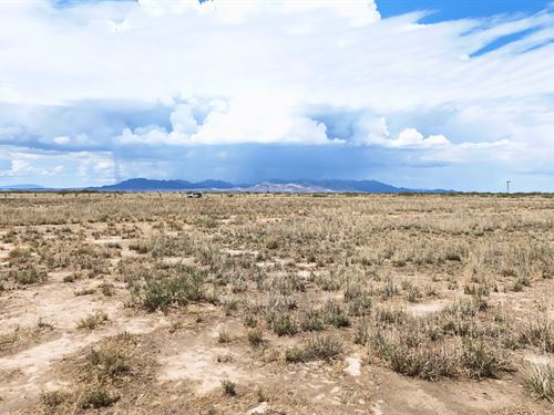 Quiet Arizona Acre Lot : Willcox : Cochise County : Arizona