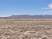 Invest in Arizona Desert Land : Willcox : Cochise County : Arizona
