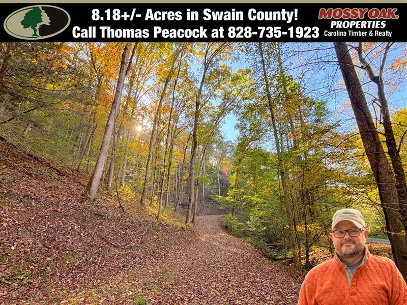 8.18 Creekfront Acres in Bryson : Bryson City : Swain County : North Carolina