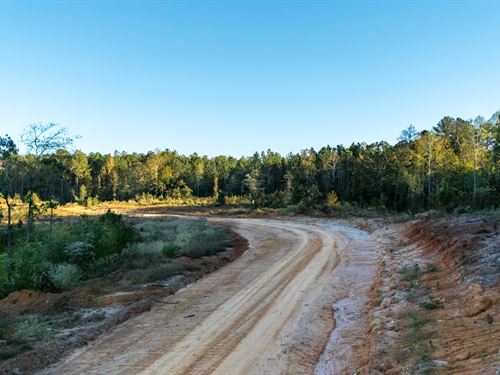 Multiple Tracts Available $999 Down : McCool : Attala County : Mississippi