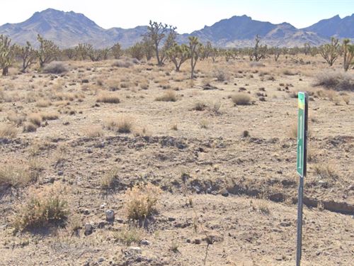 Your Launchpad to Arizona Adventure : Dolan Springs : Mohave County : Arizona