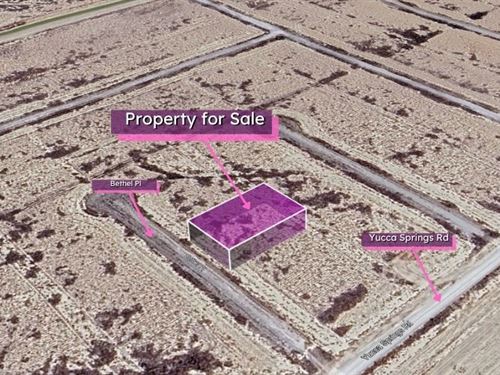 Great Cash Deal on 0.254 Acre Lot : Pahrump : Nye County : Nevada