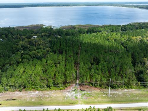 Old Cypress Farms Lot 4 : Starke : Bradford County : Florida