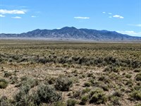 Sunland Acres Desert Land : Montello : Elko County : Nevada