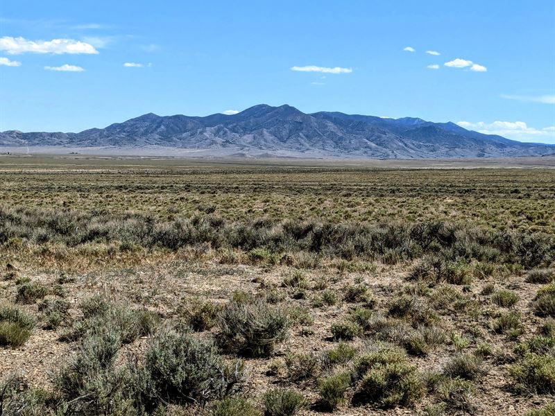 Sunland Acres Desert Land : Montello : Elko County : Nevada