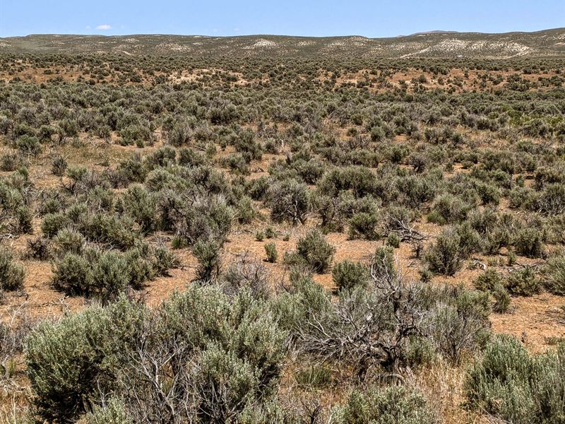 Nevada Desert Escape : Elko : Elko County : Nevada