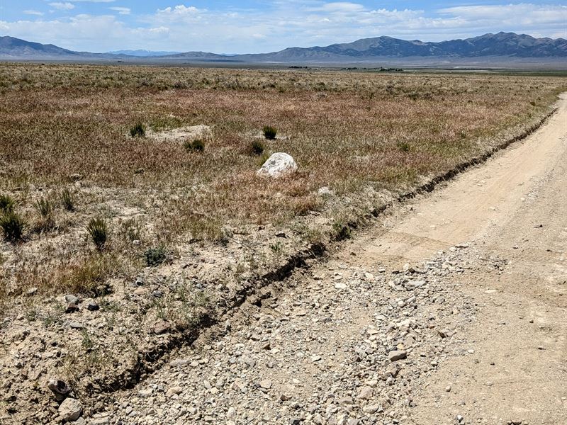 Gamble District Desert Haven : Montello : Elko County : Nevada