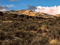 Ridgeview Freedom Property : Montello : Elko County : Nevada