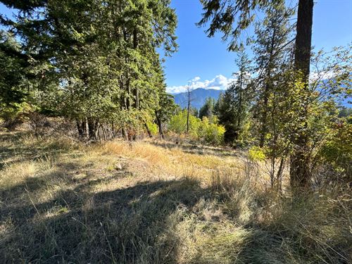 Forest Views and Pure Idaho Air : Bayview : Kootenai County : Idaho