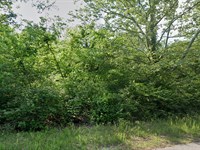 Mobile Home Land 0.19 Acre in Izard : Horseshoe Bend : Izard County : Arkansas