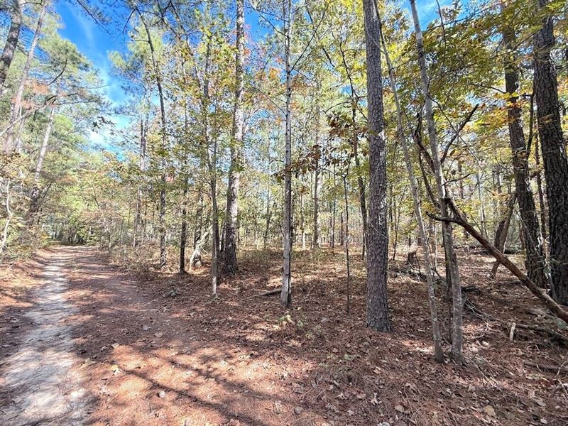 .5 Acres of Residential Land : Spring Lake : Cumberland County : North Carolina