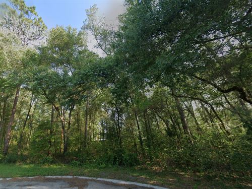 Grab Inverness Lot,Pay Only $433/Mo : Inverness : Citrus County : Florida