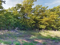 Dream Big in Sharp County : Williford : Sharp County : Arkansas