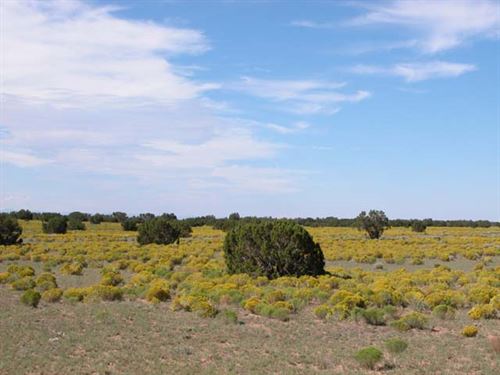 4.6 Acre Lot in Apache County, AZ : Chambers : Apache County : Arizona